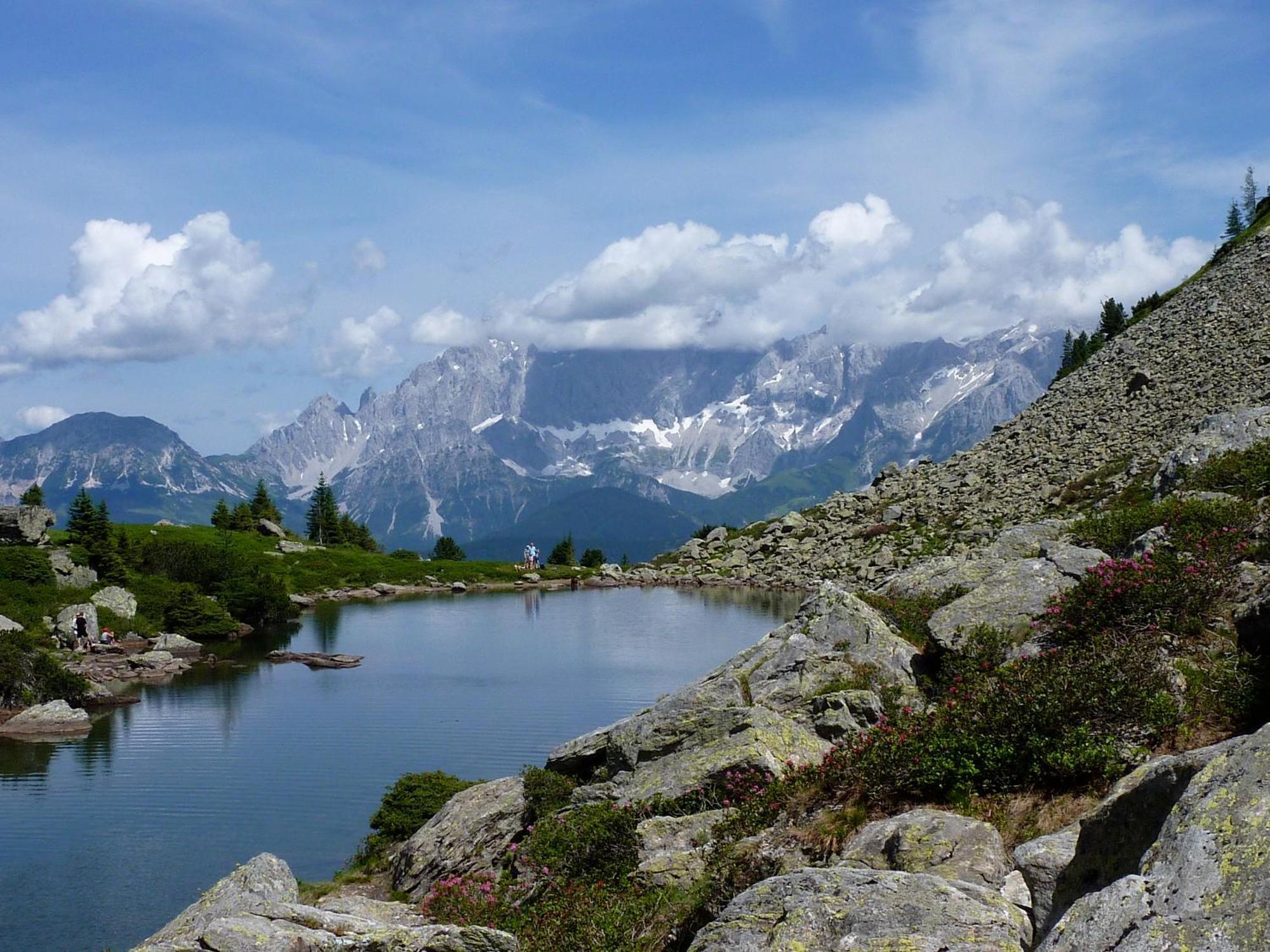 Fruehstueckspension Gsenger Ramsau am Dachstein Ngoại thất bức ảnh